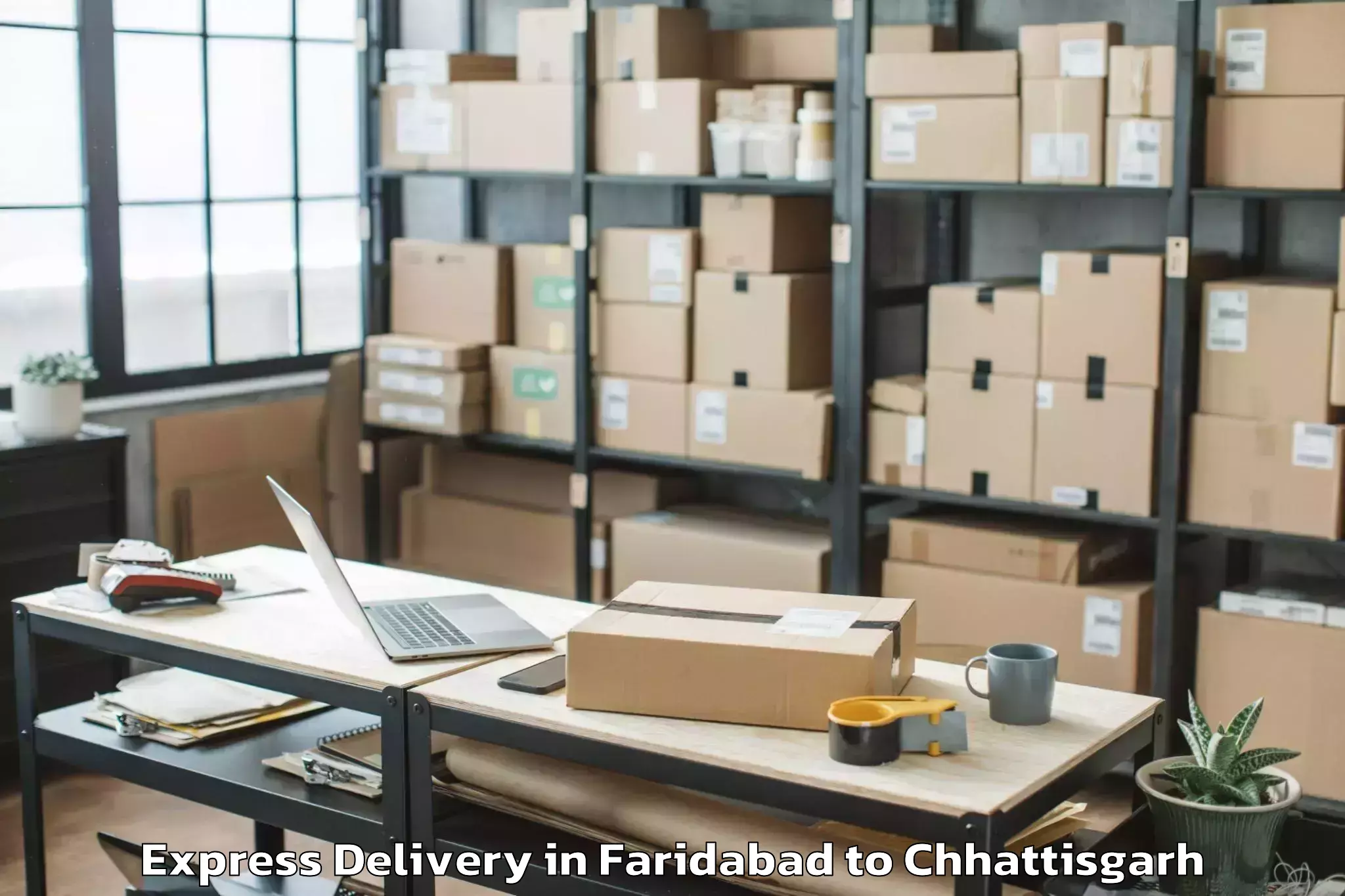 Book Faridabad to Mats University Aarang Express Delivery